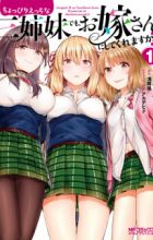 Choppiri Ecchi na Sanshimai demo, Oyomesan ni Shitekuremasu ka?