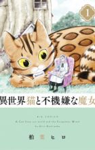 Isekai Neko to Fukigen na Majo