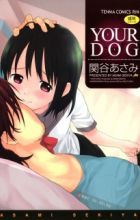 Your Dog