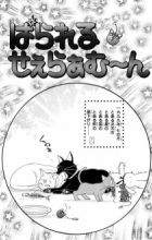 Parallel Sailor Moon