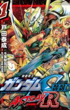 Kidou Senshi Gundam SEED: Astray R