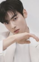 Cha, Eun-woo