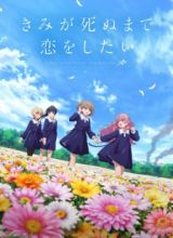 Kimi ga Shinu made Koi wo Shitai