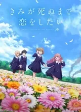 Kimi ga Shinu made Koi wo Shitai