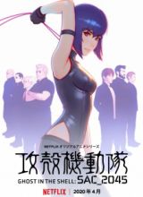 Koukaku Kidoutai: SAC_2045