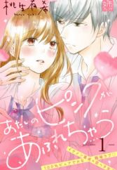 Atashi no Pink ga Afurechau