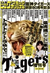 Hanshin Tigers Sousetsu 80-shuunen Kinen Zoukangou
