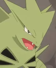 Bangiras