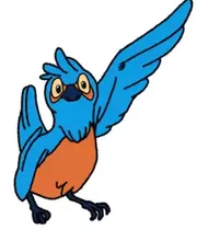 Dr. Bird