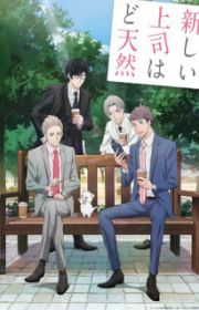 Bl Mask Mask Danshi wa Koishitakunai noni (OVA 2023) - MyAnimeList.net