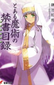 Fate/Zero | Light Novel - MyAnimeList.net