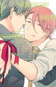 Tonde Hi ni Iru Natsu no Neko | Manga - MyAnimeList.net