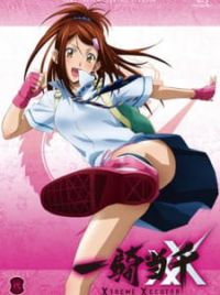 Ikki Tousen Watch Order Guide (December 2023) - Anime Filler Lists