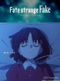 Fate/Strange Fake - Whispers of Dawn: Fate/Strange Fake anime confirms  release date with a new teaser