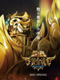 Saint Seiya: Soul of Gold (TV Series 2015-2015) — The Movie Database (TMDB)