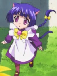 Magical Meow Meow Taruto - Wikipedia