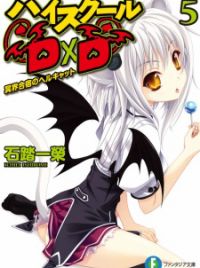 High School DxD  Light Novel 