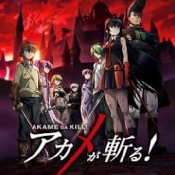 You shouldn't watch this anime 💀(Akame Ga Kill) #animetowatch