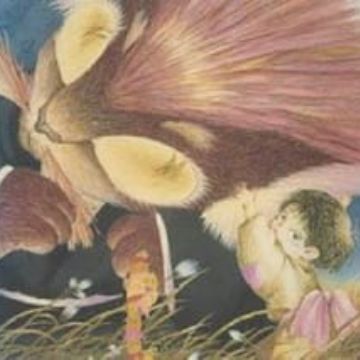 Get Donguri To Yamaneko Myanimelist Net Free HD Wallpaper Donguri To Yamaneko Myanimelist Net Free