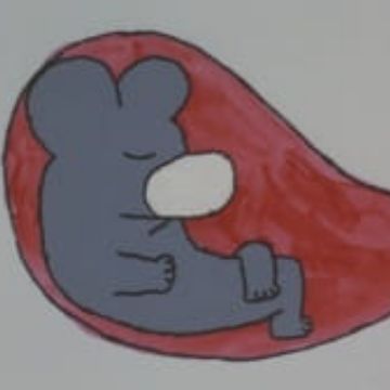 Get 12 Gatsu No Uta December Song Myanimelist Net For Android Wallpaper 12 Gatsu No Uta December Song Myanimelist Net Free HD