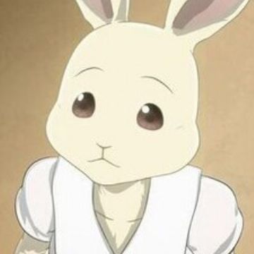 Haru Beastars Myanimelist Net