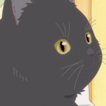 Get Daru Kanojo To Kanojo No Neko Everything Flows Myanimelist Net For Android Free Wallpaper Daru Kanojo To Kanojo No Neko Everything Flows Myanimelist Net Free HD