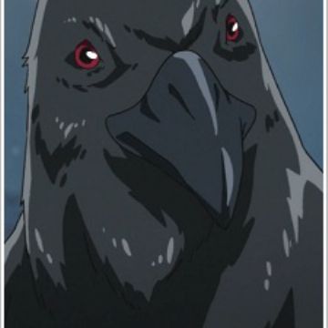 Get Crow Vividred Operation Myanimelist Net For Android Get Wallpaper Crow Vividred Operation Myanimelist Net Free HD