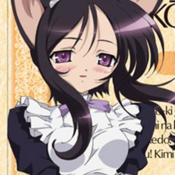 Download Eneus Macademi Wasshoi Myanimelist Net For Android Free Wallpaper Eneus Macademi Wasshoi Myanimelist Net For iPhone Free