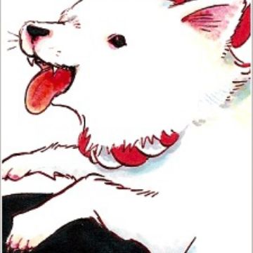 Download Shiro Hoozuki No Reitetsu Myanimelist Net For Android Free Wallpaper Shiro Hoozuki No Reitetsu Myanimelist Net Free