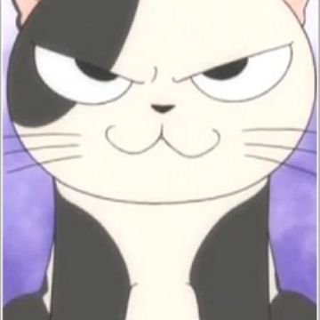 Get Kocchi Chi S Sweet Home Chi To Kocchi Deau Myanimelist Net For Free Get Wallpaper Kocchi Chi S Sweet Home Chi To Kocchi Deau Myanimelist Net Desktop Wallpaper Free