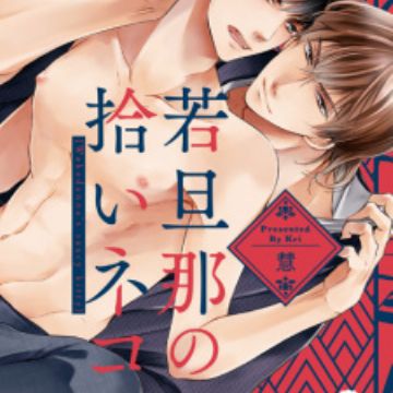 Wakadanna No Hiroi Neko Wakadanna S Saucy Kitty Manga More Info Myanimelist Net