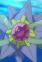 Starmie