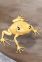 Golden Mantella
