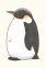 Adult Penguin-san