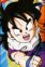 Son, Gohan