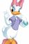 Duck, Daisy