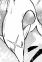 Dolph