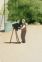 Photographer