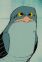 Cuckoo
