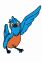 Dr. Bird