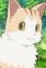 Newbie Cat