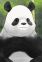 Giant Panda
