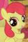 Apple Bloom