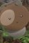 Puchiko