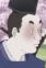 Kuge