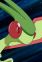 Flygon