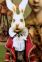 White Rabbit