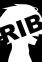 Rib