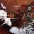 7 Bosses of Sword Art Online: Get Ready to Raid!