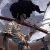 Uncovering Afro Samurai Game Adaptations: Bring On the Action